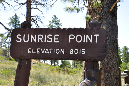 sign: Sunrise Point, elevation 8015